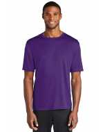 TEAM PURPLE